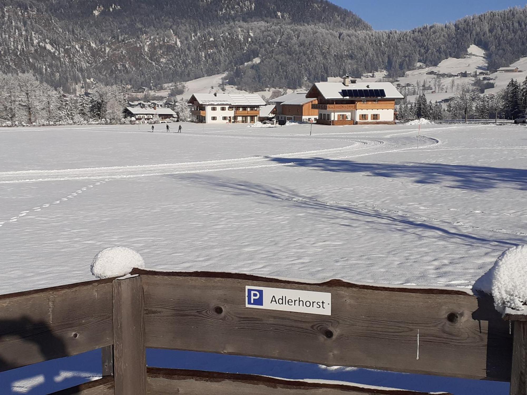Ferienwohnung Adlerhorst Im Haus Lohrey Reit im Winkl Exterior foto